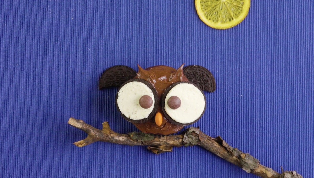 cupcake au chocolat en forme de hibou