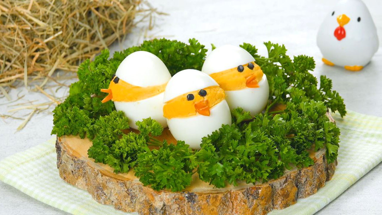 poussins en œuf